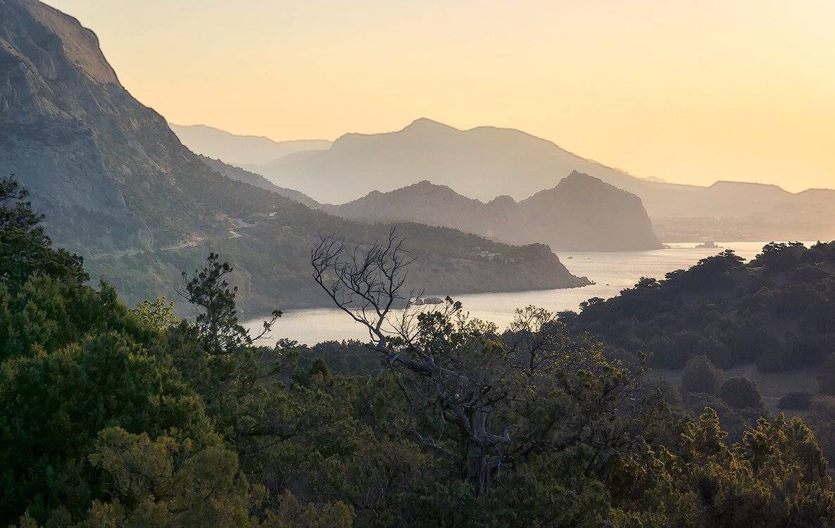 В утренней дымке. Автор: Игорь Мелекесцев , Игорь Мелекесцев