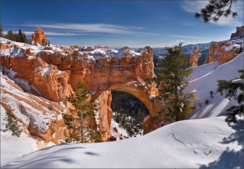 Новогодняя открытка из Брайса