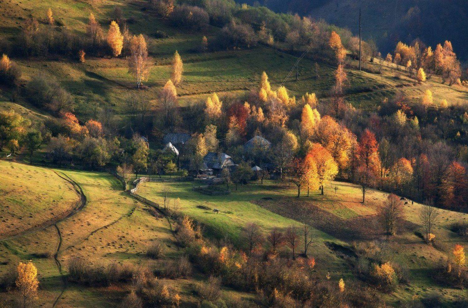 ...Осень.... Автор: Андрей Радюк карпаты, осень, свет, Андрей Радюк