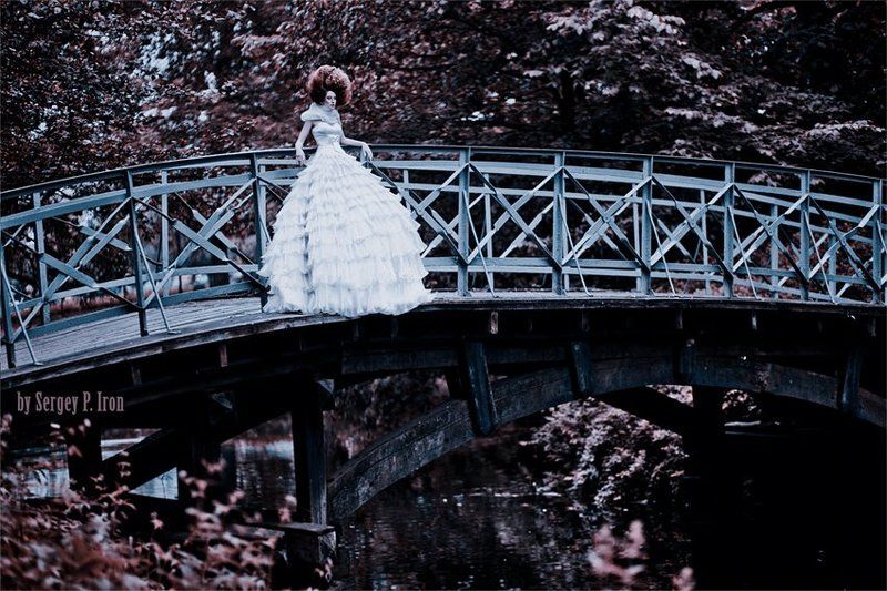 ...................photo preview