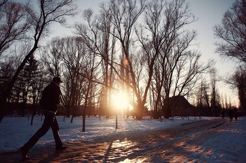 Ждем весну...photo preview