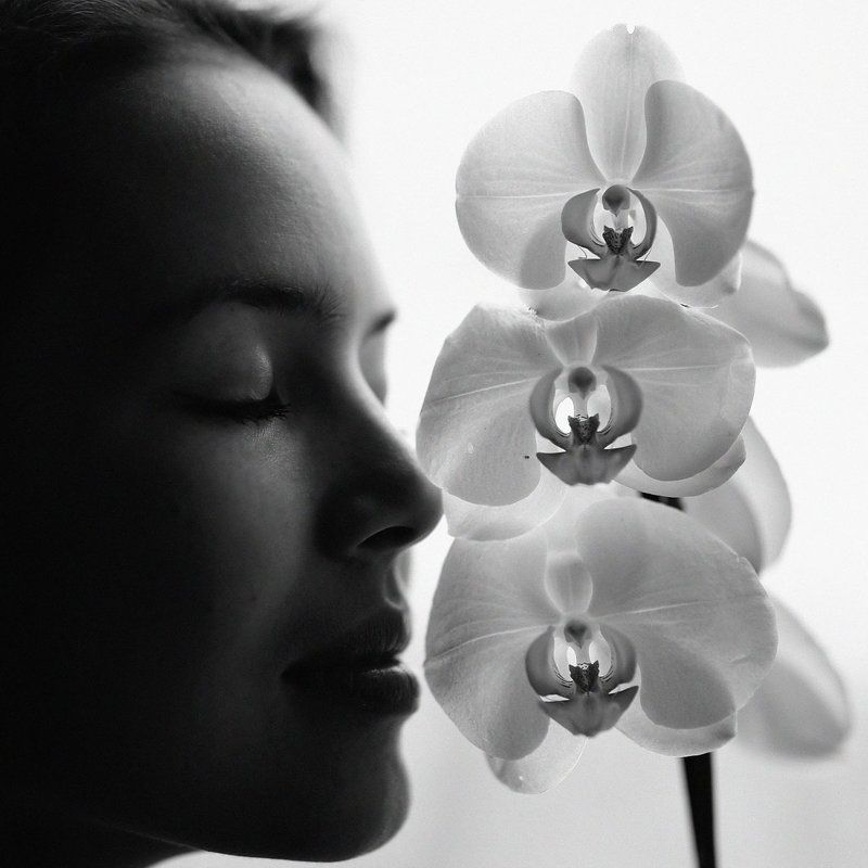 Совершенствоphoto preview