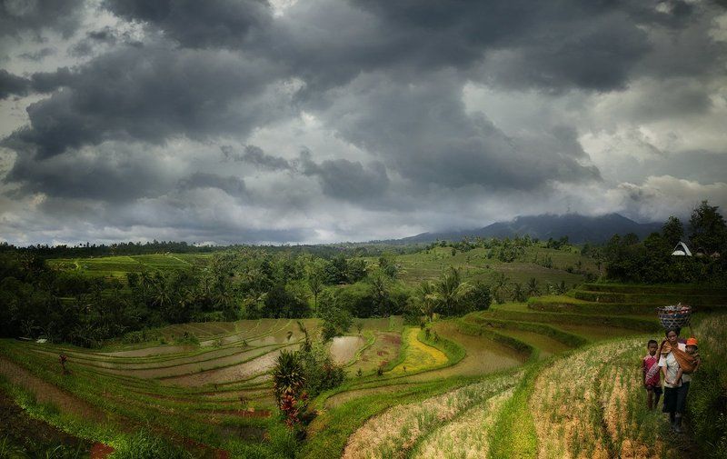 Indonesiaphoto preview