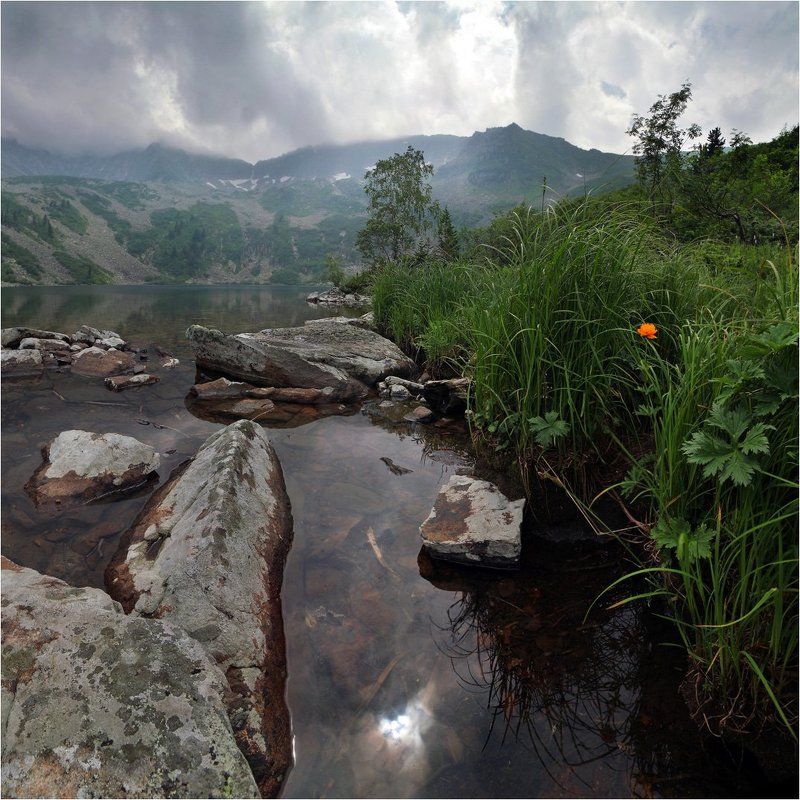 один, совсем одинphoto preview