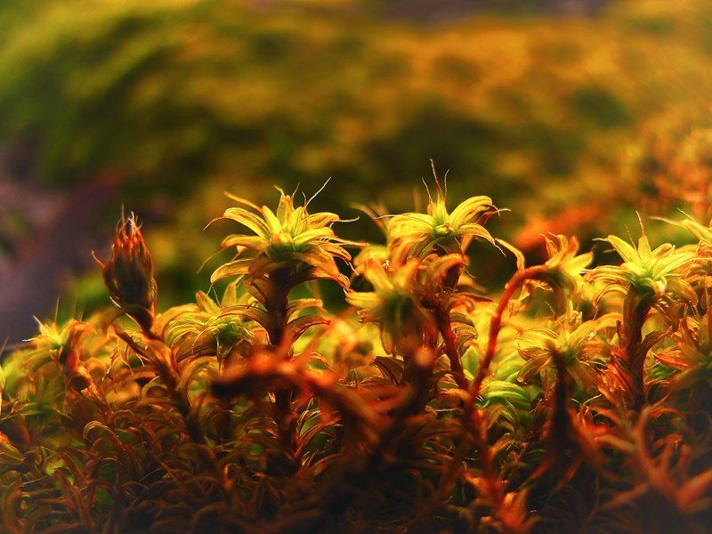 Весна!photo preview