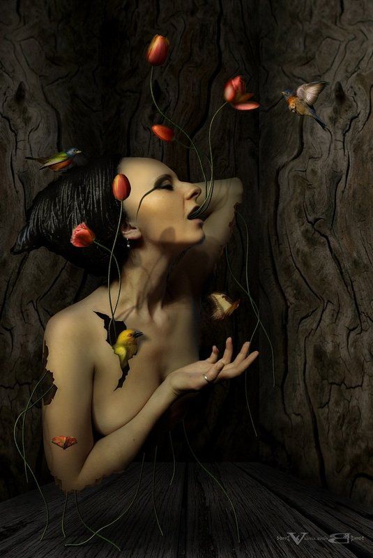 арт, фото, сюрреализм Рождение красотыphoto preview