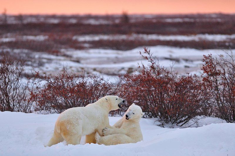 Закатнаяphoto preview