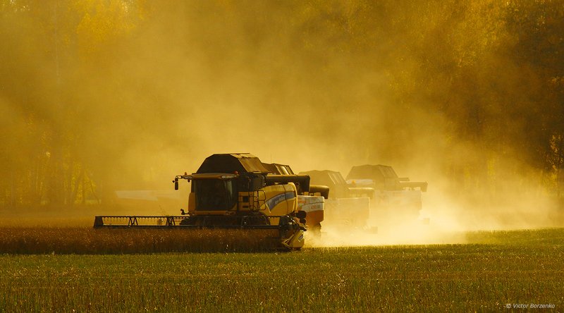 комбайн, уборка урожая, поле, сибирь Битва за урожайphoto preview