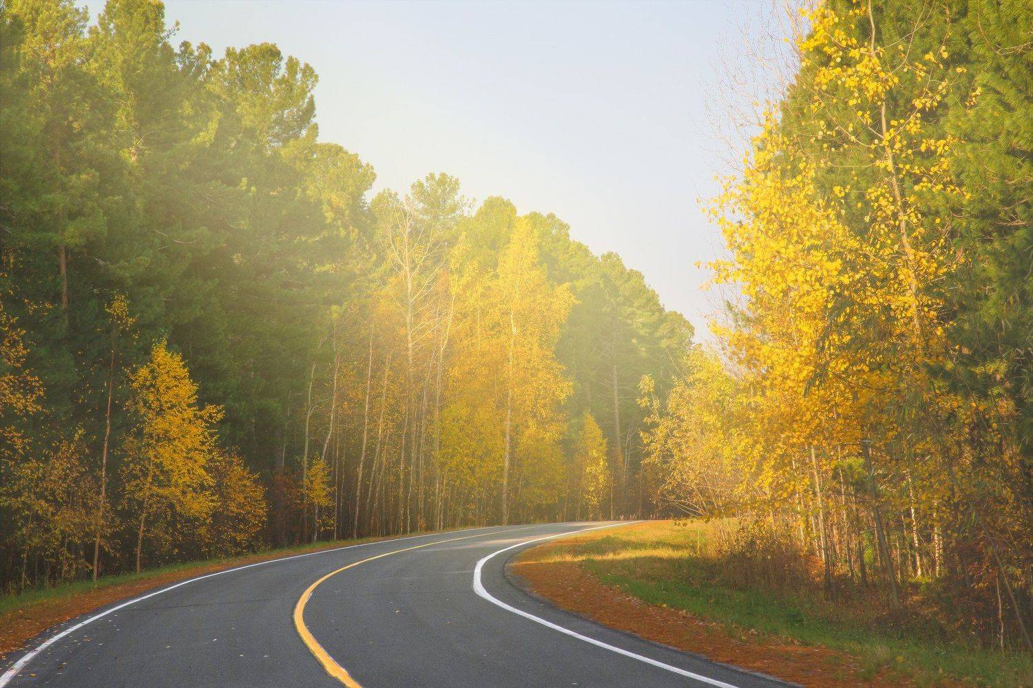 Autumn road. Автор: Andrey Raspopov , Andrey Raspopov