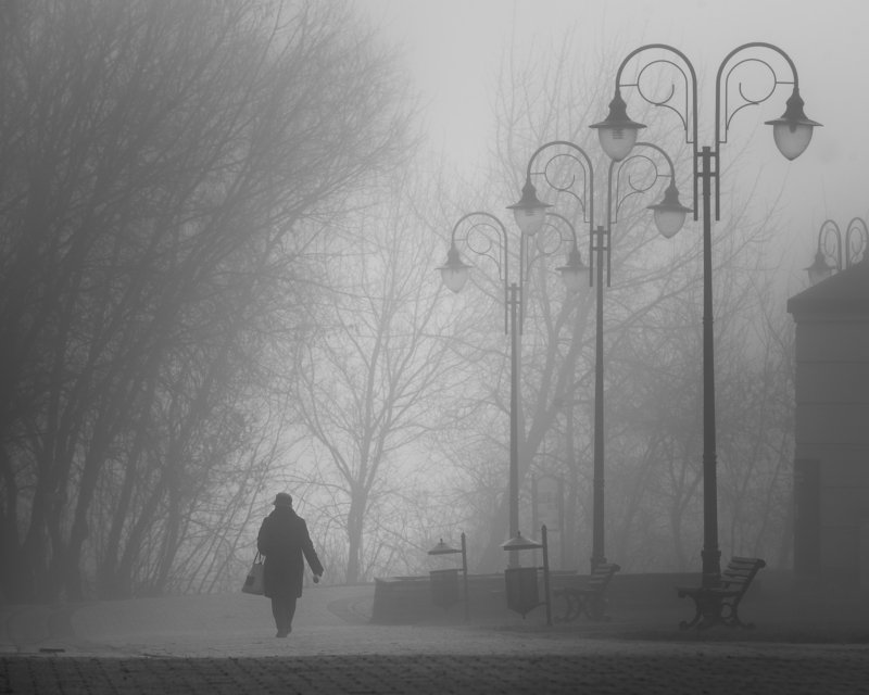 Morning walkphoto preview