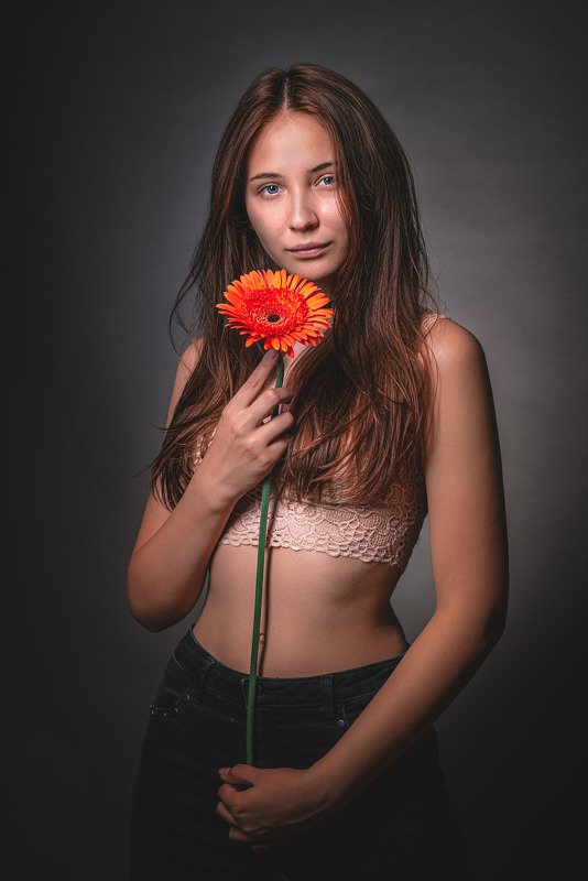 Gerberaphoto preview