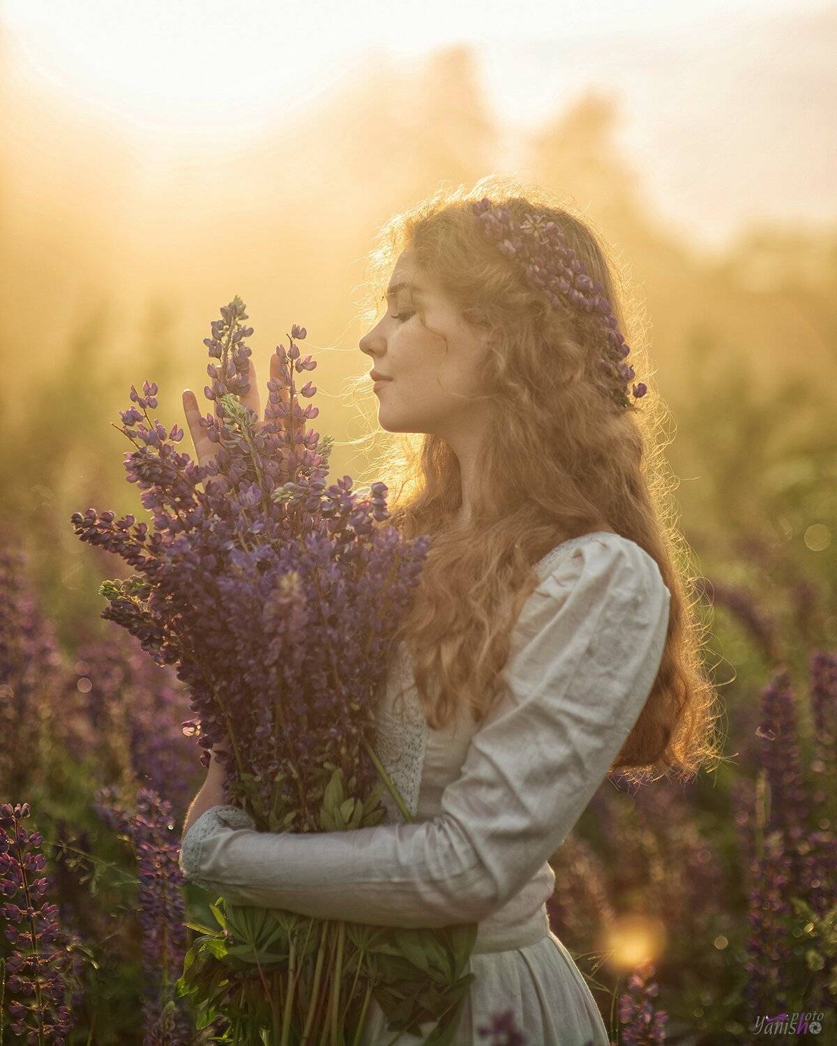 Люпины. Автор: Янина Ермакова девушка, цветы, закат, поле, люпины, лето, конровичок, красота, сказка, портрет, женский портрет, Янина Ермакова