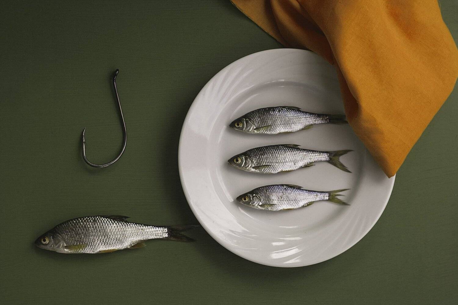 на крючке). Автор: Ольга Алексейчик натюрморт, минимализм, Ольга Алексейчик