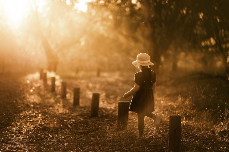 In the woodsphoto preview