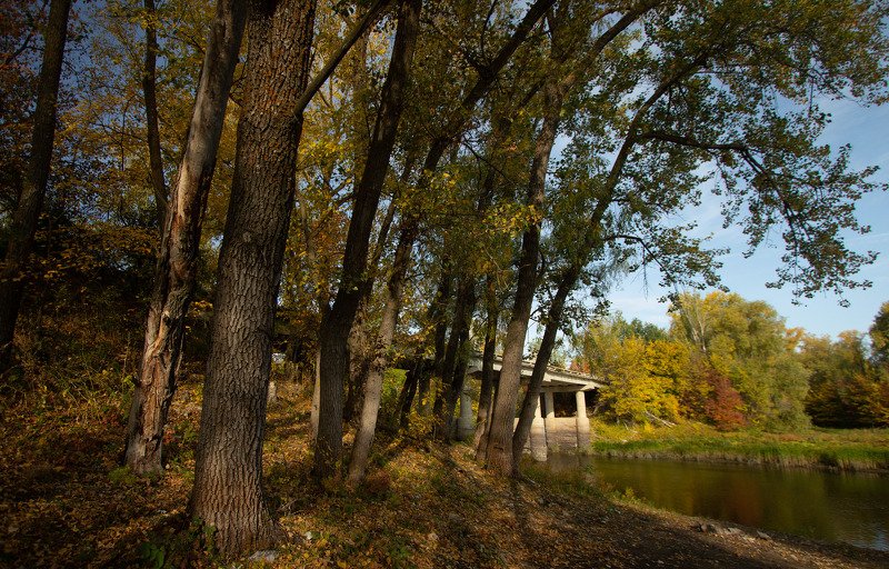 Осенние краскиphoto preview