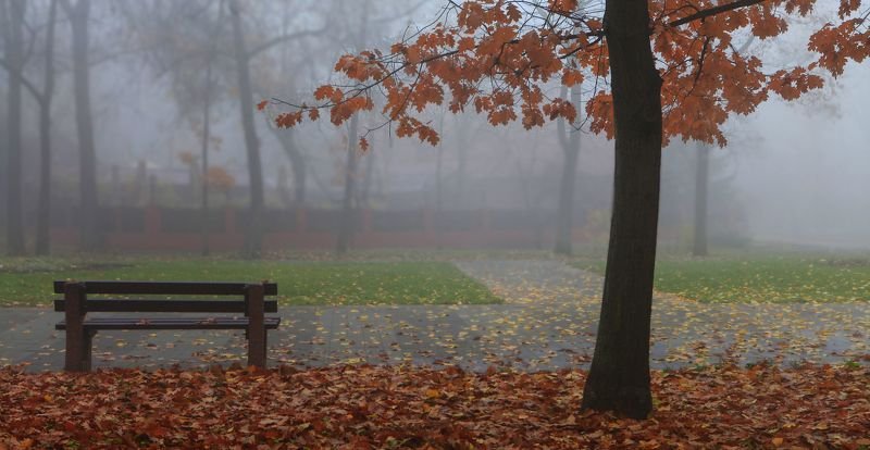 В ожидании осениphoto preview