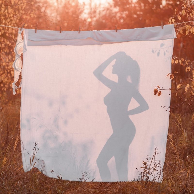 Силуэтphoto preview