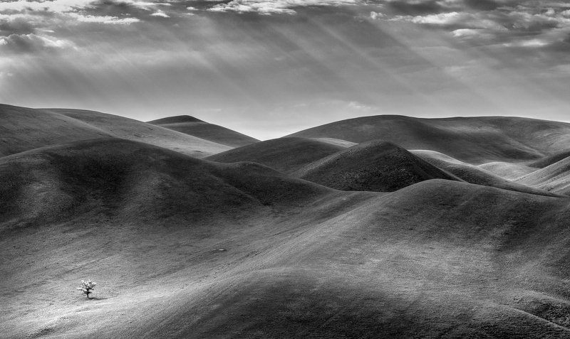 В одиночествеphoto preview