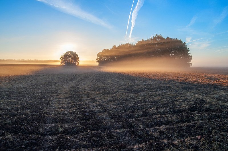 утро, рассвет, поле, осень ***photo preview