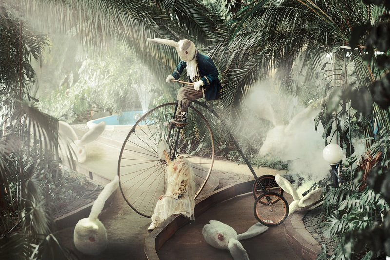 Are you this rabbit?photo preview