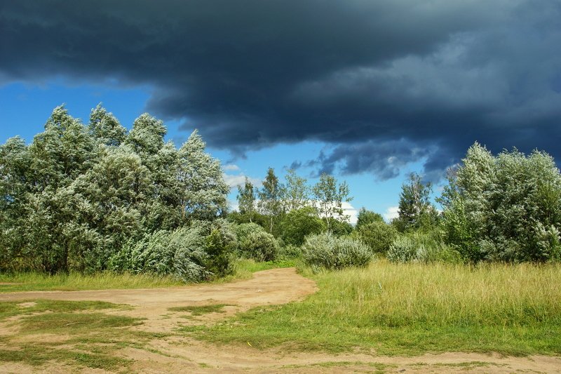 В ожидании грозыphoto preview