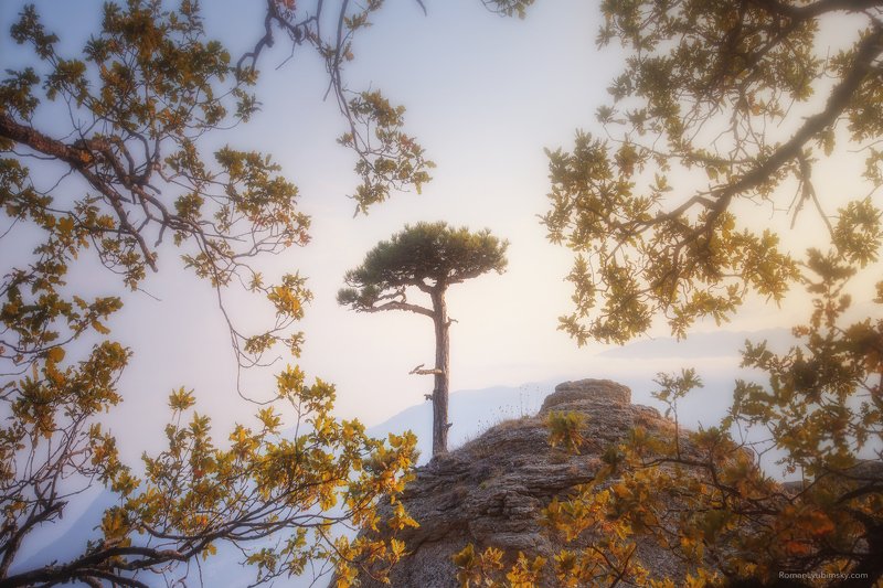 крым, демерджи, осень, фототуры по крыму, Одиноко стоящийphoto preview