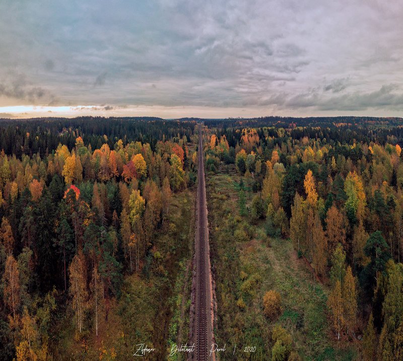 Осень достала краски.photo preview