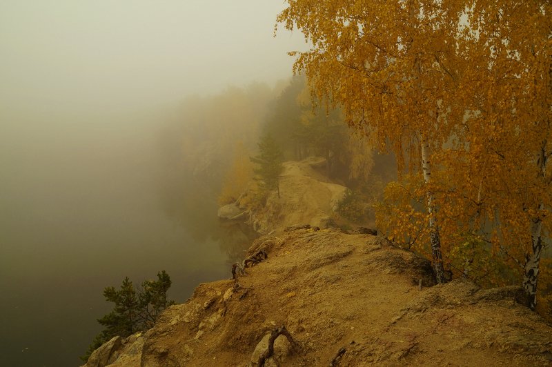 пейзаж,туман,октябрь,лес Иду  по краю..photo preview