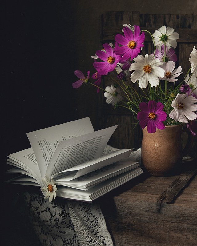 цветы, космея, натюрморт Космеяphoto preview