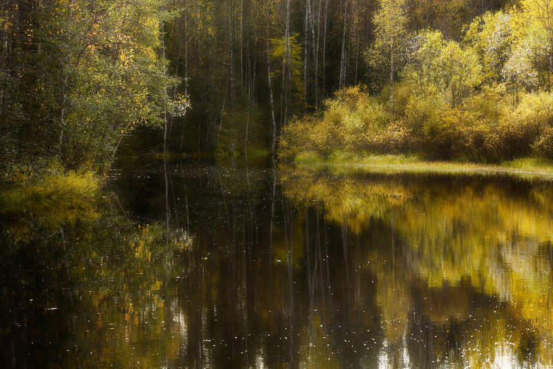 осень, сентябрь, река, берег, вода, отражения, тишина, кусты, деревья Тихая заводьphoto preview