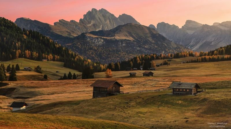 Оранжевое утроphoto preview