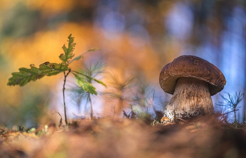 Время тихой охотыphoto preview