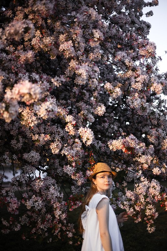 portrait, model, sun, модель, girl, портрет photo preview