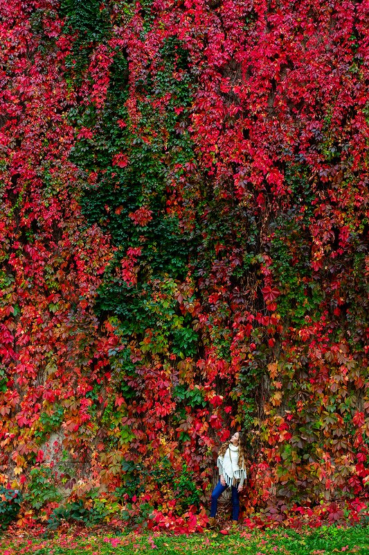 осени, краски Краски осениphoto preview