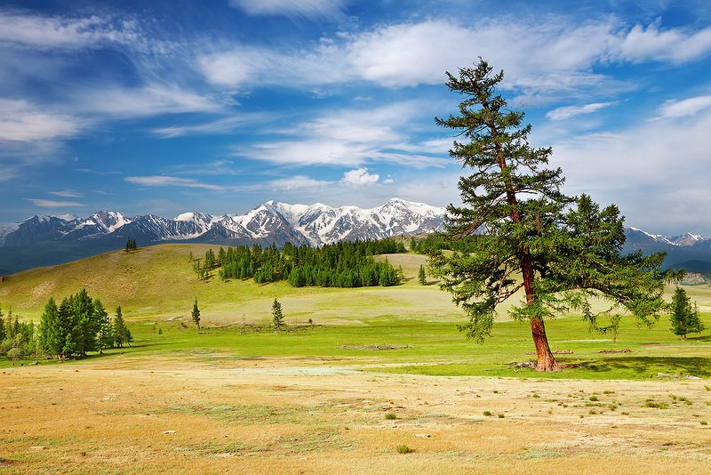 Алтай 8photo preview