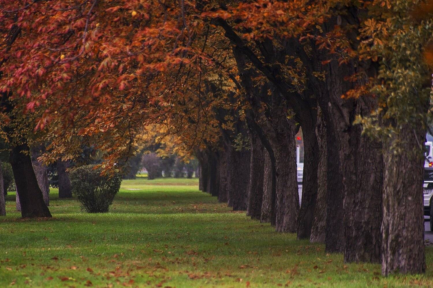 Осень. Автор: Павел Сагайдак , Павел Сагайдак