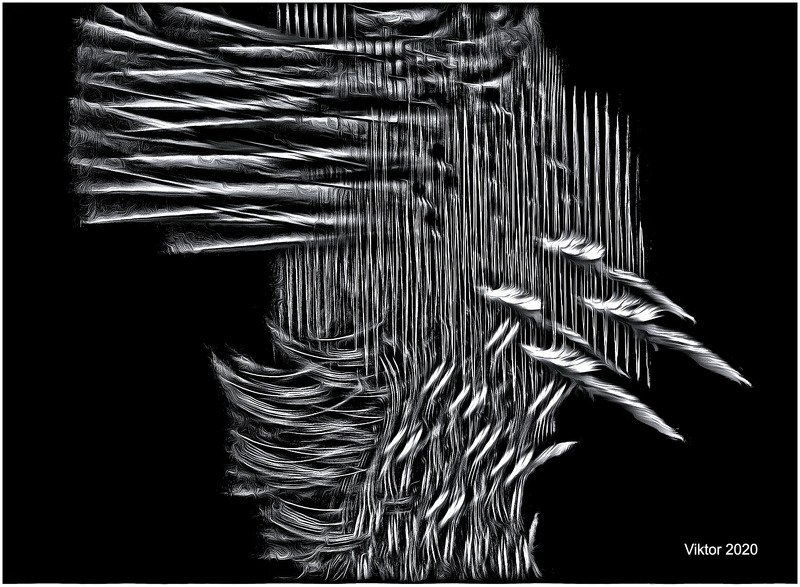 black-white ***photo preview