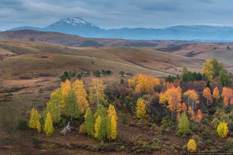горнаяколывань, синюха, горасинюха, осеньнаалтае, алтай2020 Осень в Горной Колываниphoto preview