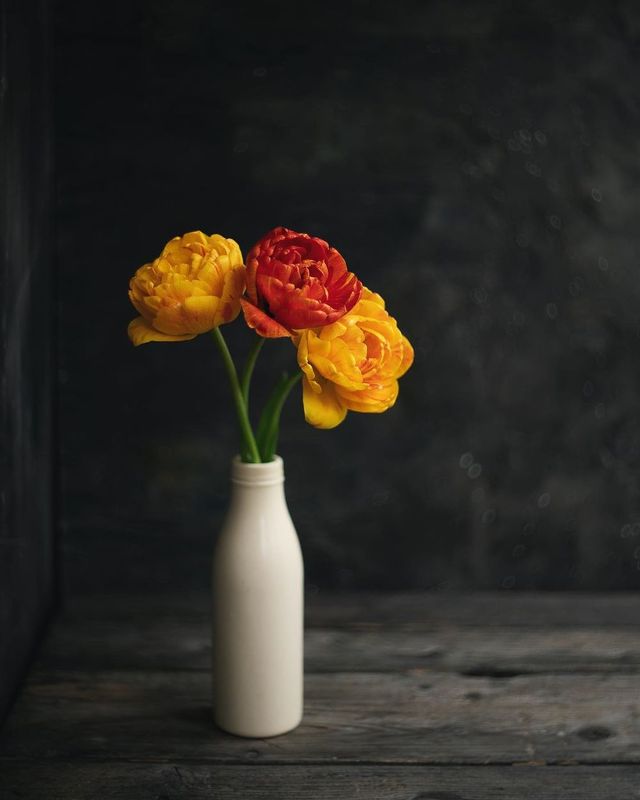 тюльпаны, желтый, красный, букет photo preview