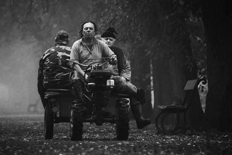 Morning in the Parkphoto preview