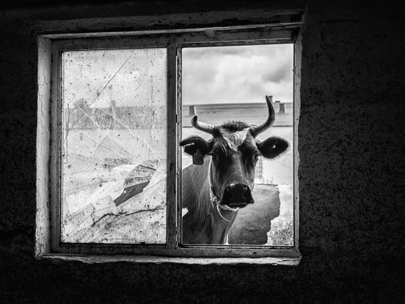 А чё вы там делаете?photo preview