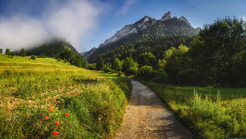#landscape #panoramic #photo #nikon #poland #adventure #sunrise #mountains  #nature #travel Mountain Trailphoto preview
