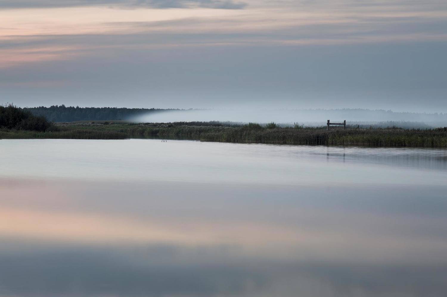 Автор: Полина Хрол , Полина Хрол