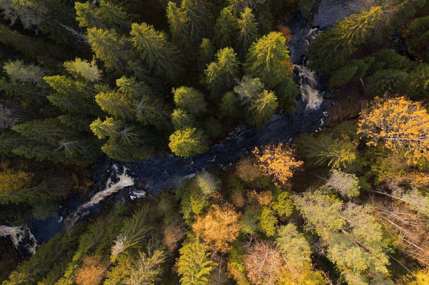 карелия, водопады, karelia, waterfall, Evgeniy Sh.