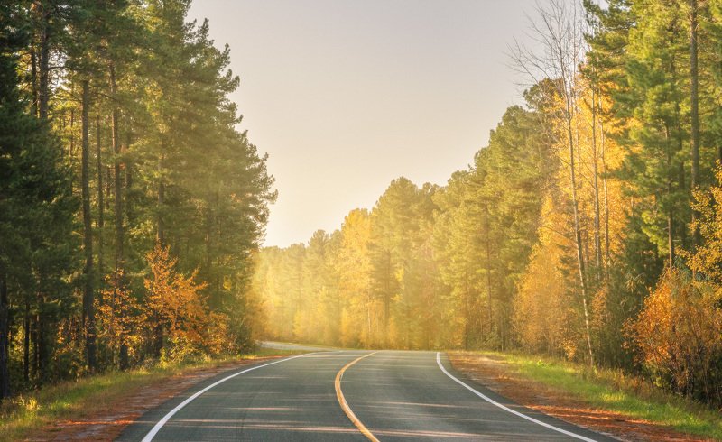 Autumn roadphoto preview