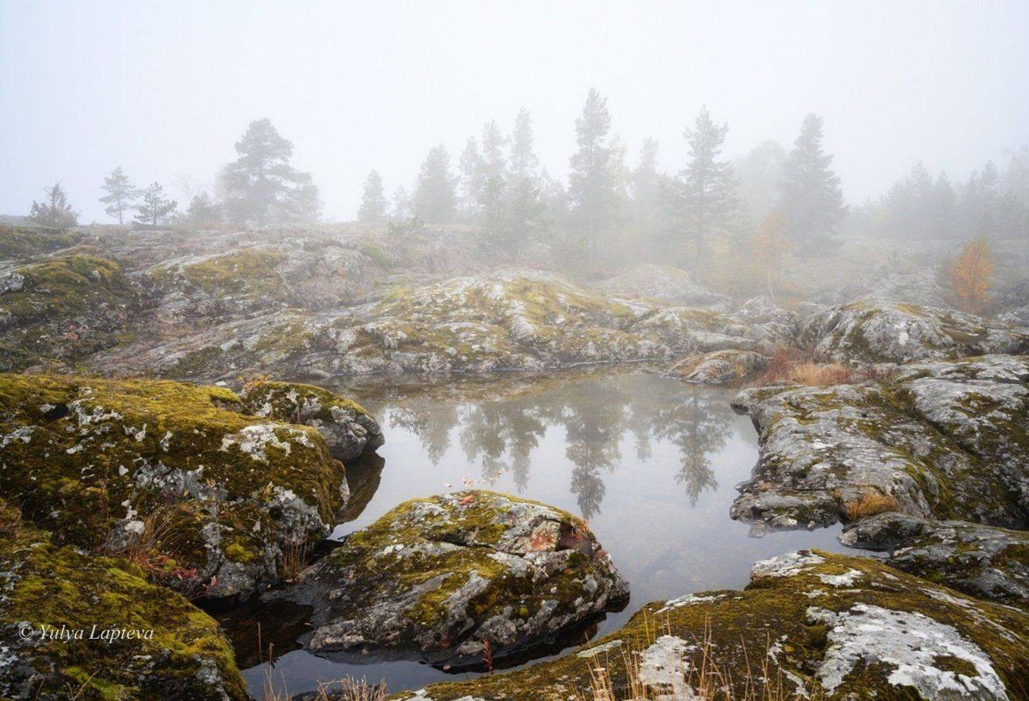карелия золотая осень,ладожское озеро, Юлия Лаптева