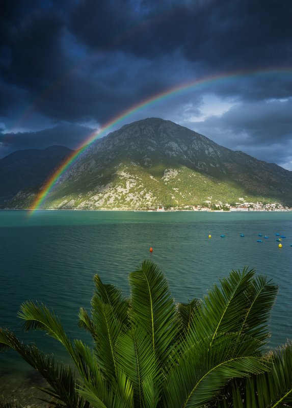 Морская радугаphoto preview