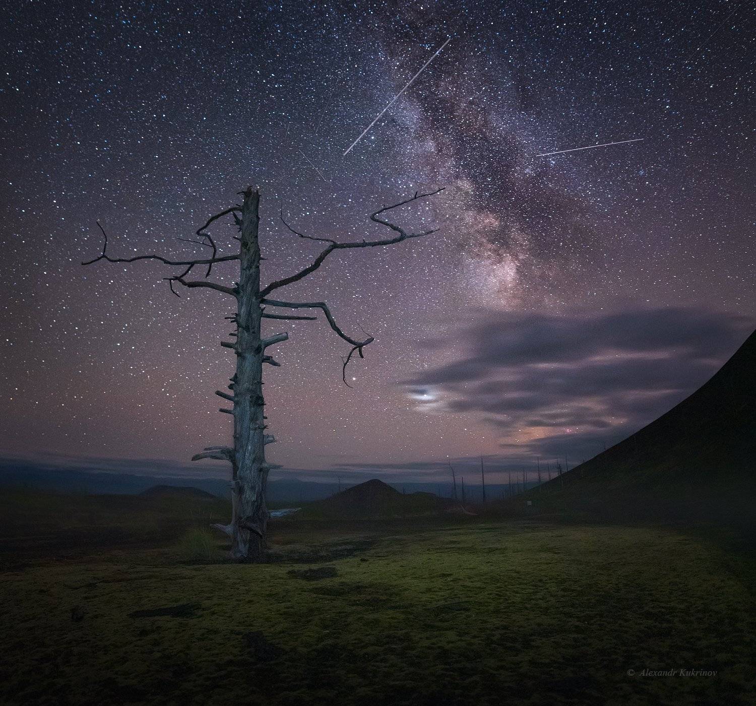 Ночь в Мёртвом лесу.... Автор: Александр Кукринов камчатка, мёртвый лес, ночь, звёзды, пейзаж, Александр Кукринов