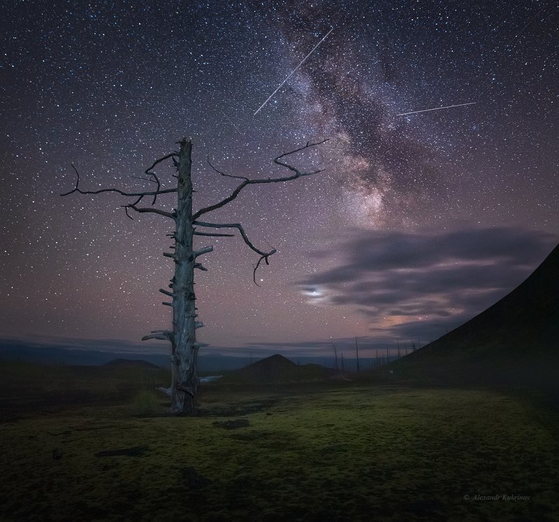камчатка, мёртвый лес, ночь, звёзды, пейзаж Ночь в Мёртвом лесу...photo preview