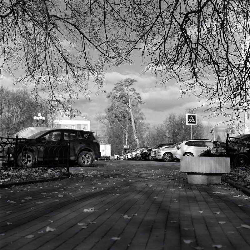 город, осень. photo preview